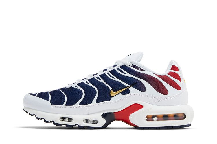 Nike Air Max Plus PSG