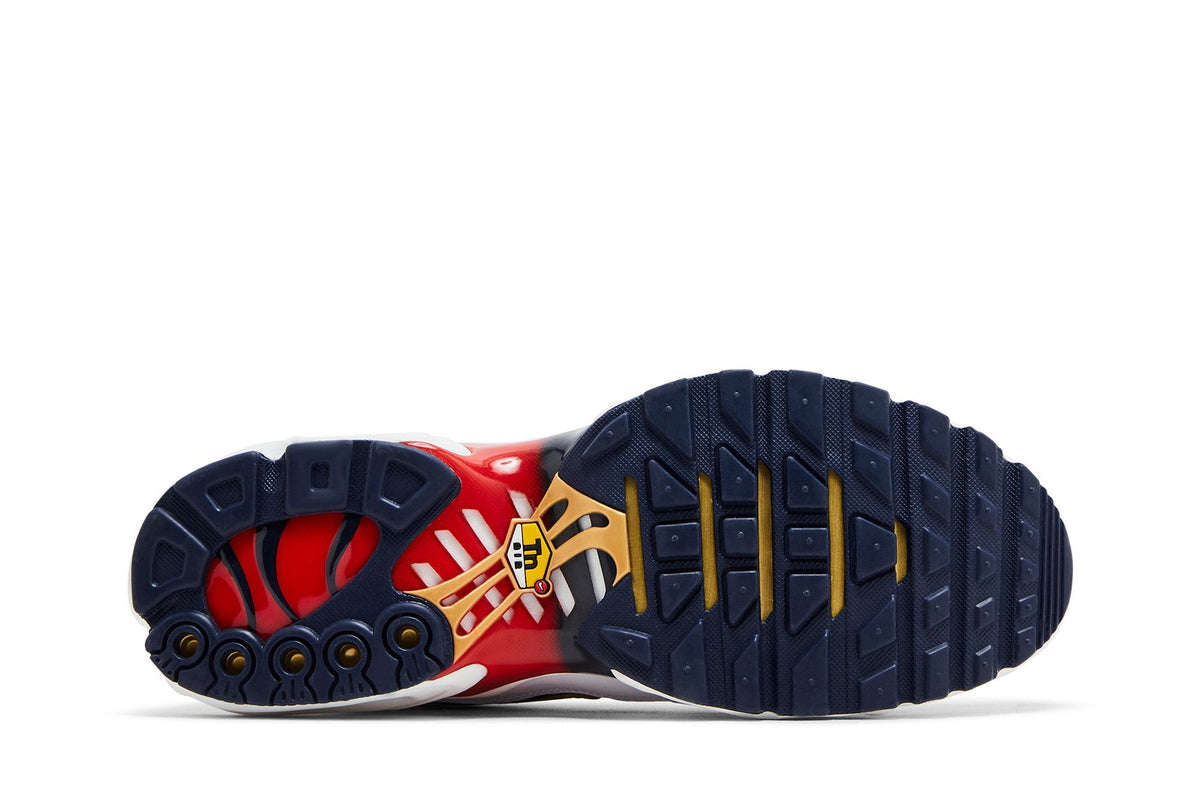 Nike Air Max Plus PSG