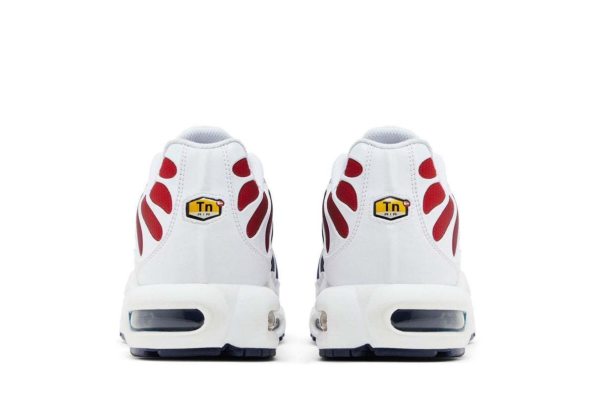 Nike Air Max Plus PSG