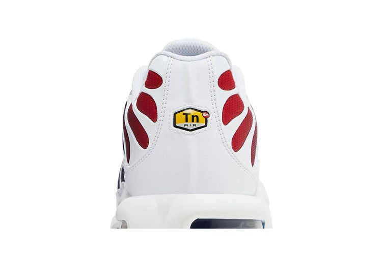 Nike Air Max Plus PSG