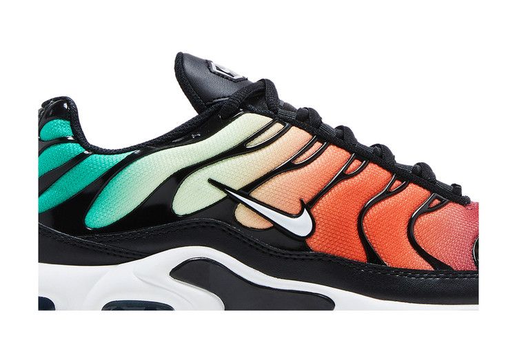 Nike Air Max Plus Rainbow