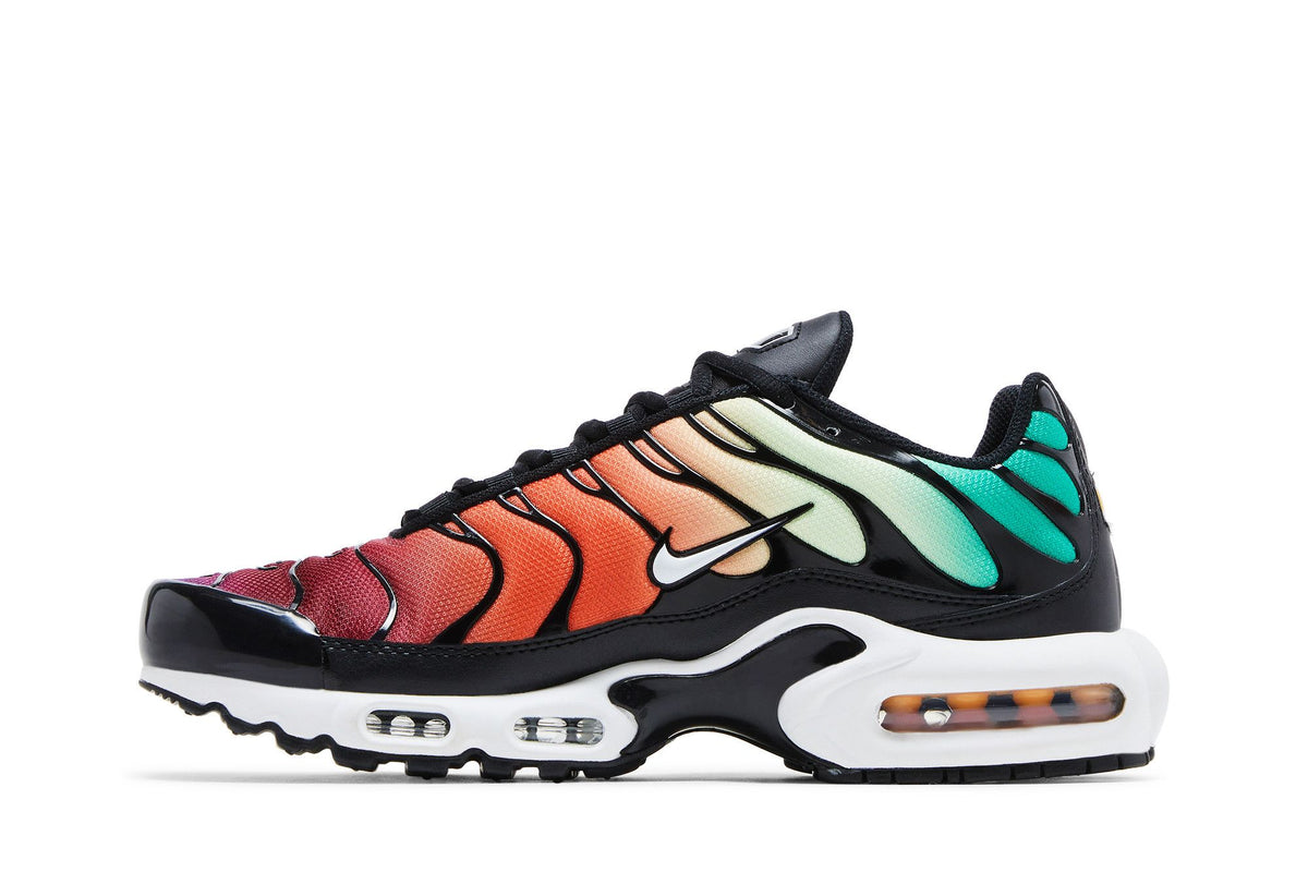 Nike Air Max Plus Rainbow