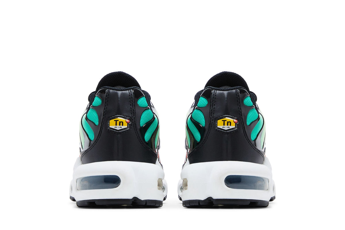 Nike Air Max Plus Rainbow