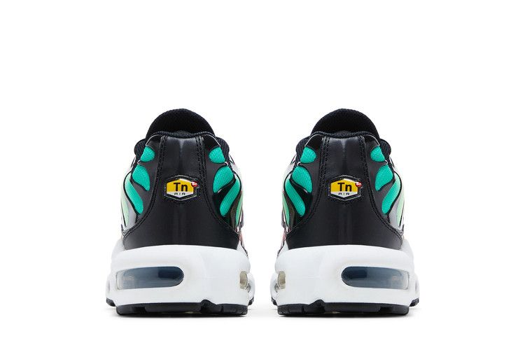 Nike Air Max Plus Rainbow