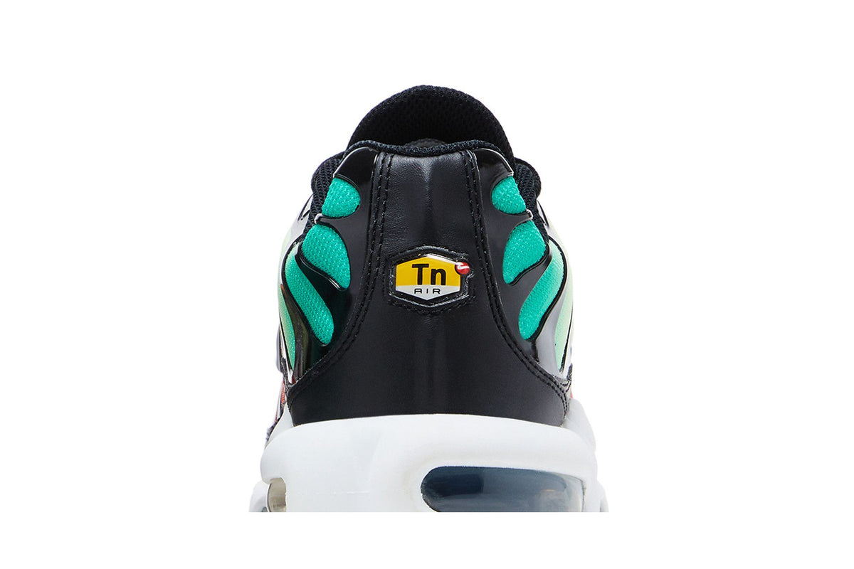 Nike Air Max Plus Rainbow