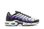 Nike Air Max Plus Reverse Grape