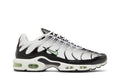 Nike Air Max Plus Seafoam Grey Black