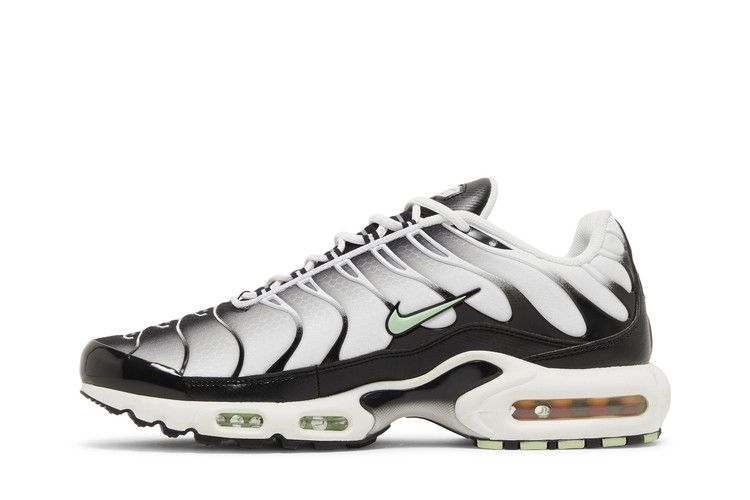 Nike Air Max Plus Seafoam Grey Black