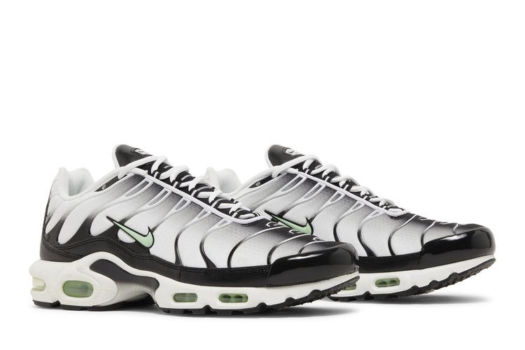 Nike Air Max Plus Seafoam Grey Black