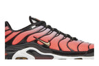 Nike Air Max Plus Sisterhood
