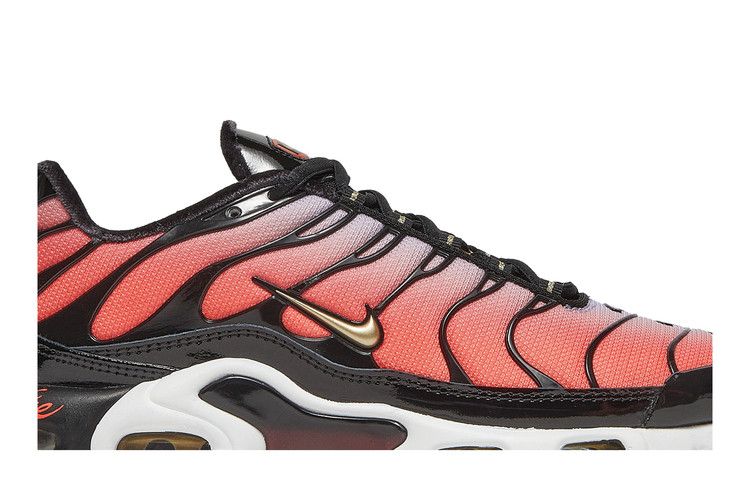 Nike Air Max Plus Sisterhood