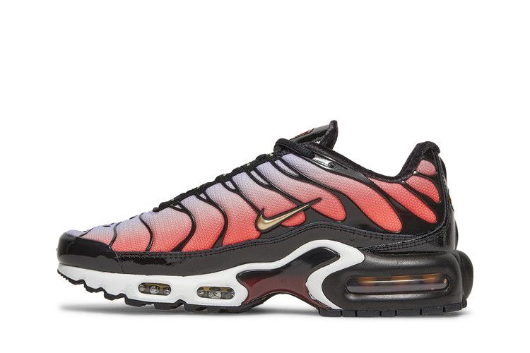 Nike Air Max Plus Sisterhood