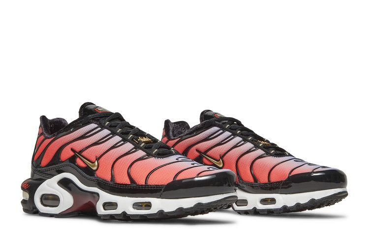 Nike Air Max Plus Sisterhood