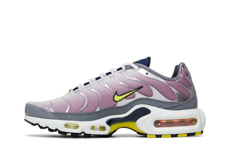 Nike Air Max Plus Violet Dust