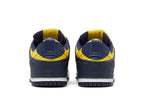Nike Dunk Low Disrupt 2 Michigan