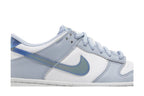 Nike Dunk Low Hologram