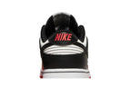 Nike Dunk Low NBA 75th Anniversary Chicago Bulls