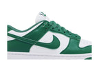Nike Dunk Low Next Nature Bicoastal