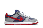 Nike Dunk Low Samba (2020)