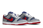 Nike Dunk Low Samba (2020)
