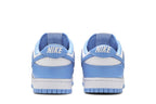 Nike Dunk Low UNC (GS)