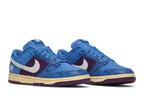 Nike Dunk Low Undefeated 5 On It