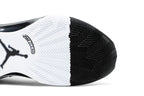 Nike Jordan XXXV Fragment