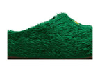 Nike ReactX Rejuven8 Slide .SWOOSH Touch Grass Kelly Green