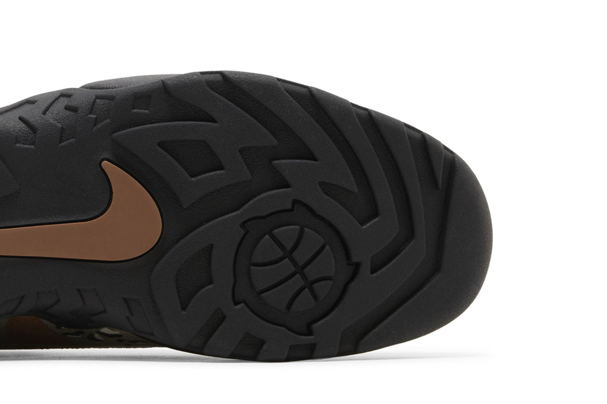 Nike SB Darwin Low Supreme Desert Camo