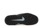 Nike SB Darwin Low Supreme Sail