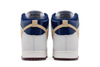 Nike SB Dunk High Pro Beyond