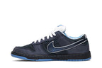Nike SB Dunk Low Concepts Blue Lobster