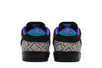 Nike SB Dunk Low Dashawn Jordan Copperhead