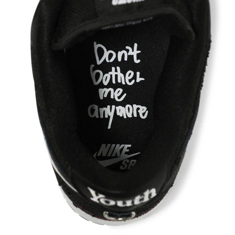 Nike SB Dunk Low Wasted Youth