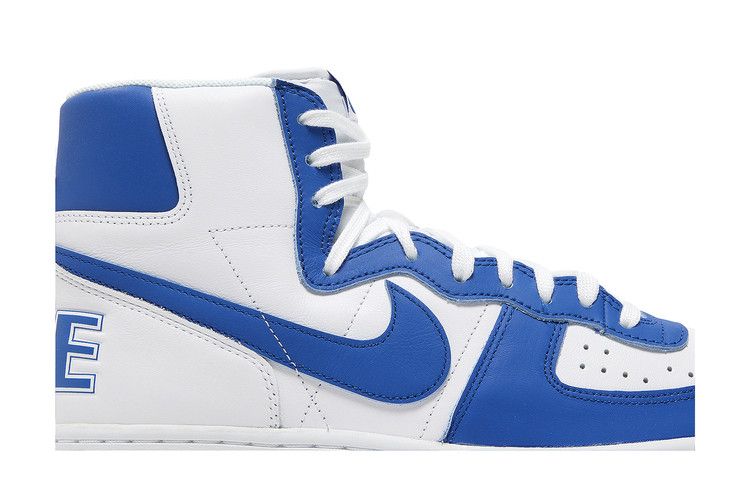 Nike Terminator High Game Royal