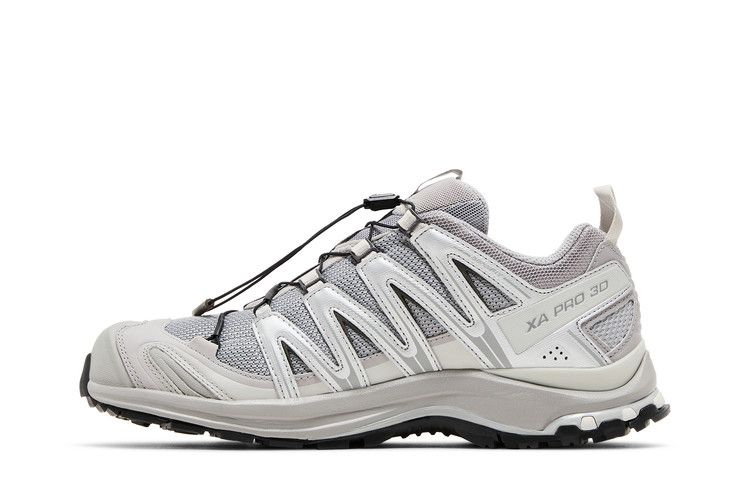 Salomon XA Pro 3D Alloy Silver