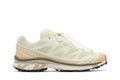 Salomon XT-6 Aloe Wash Feather Grey