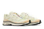 Salomon XT-6 Aloe Wash Feather Grey