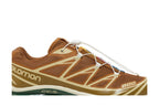 Salomon XT-6 Rubber Lizard