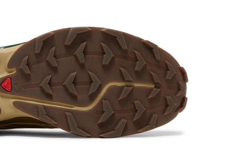 Salomon XT-6 Rubber Lizard
