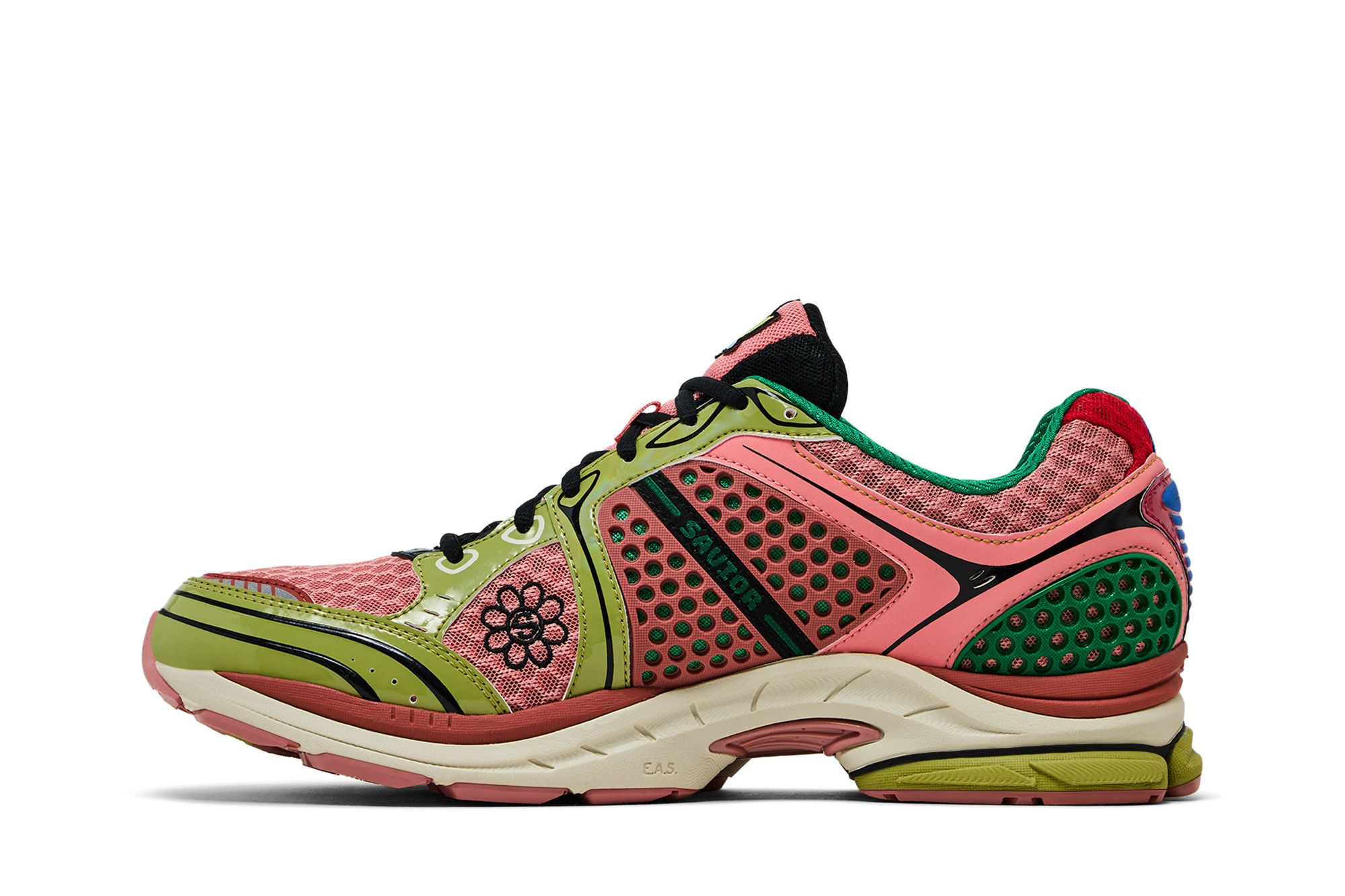 Saucony ProGrid Triumph 4 Jae Tips Flowers Grow Uptown Virginia Creeper