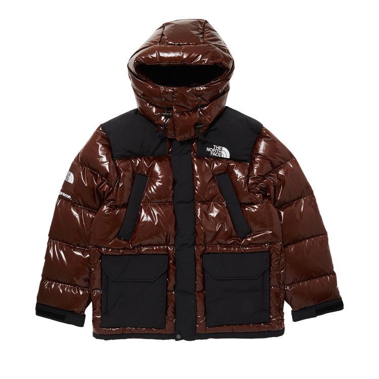 Supreme The North Face 700-Fill Down Parka Brown