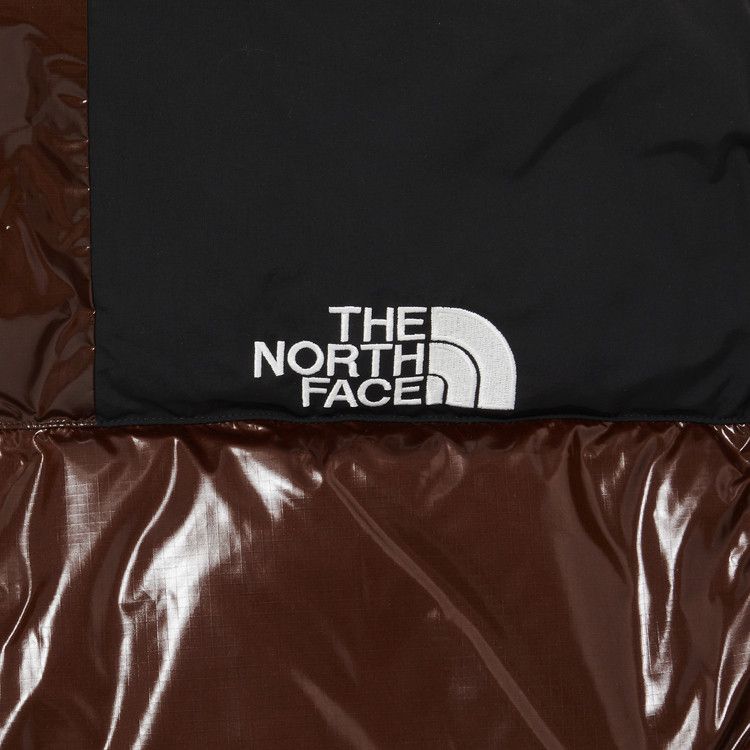 Supreme The North Face 700-Fill Down Parka Brown
