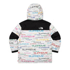 Supreme The North Face Coldworks 700-Fill Down Parka White