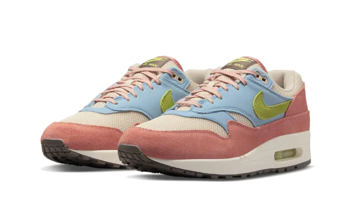 Nike Air Max 1 Light Madder Root - DV3196-800
