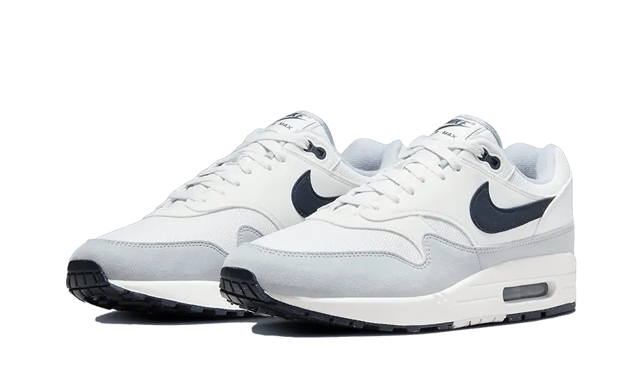 Nike Air Max 1 Pure Platinum - FD9082-002