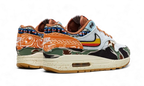 Nike Air Max 1 SP Concepts Heavy - DN1803-900