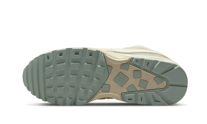 Nike Air Max BW Light Stone - DM9094-100