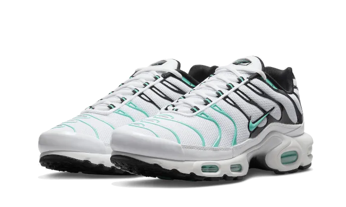 Nike Air Max Plus atmos White Hyper Jade - 604133-148