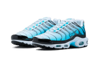 Nike Air Max Plus Baltic Blue - FD9751-100